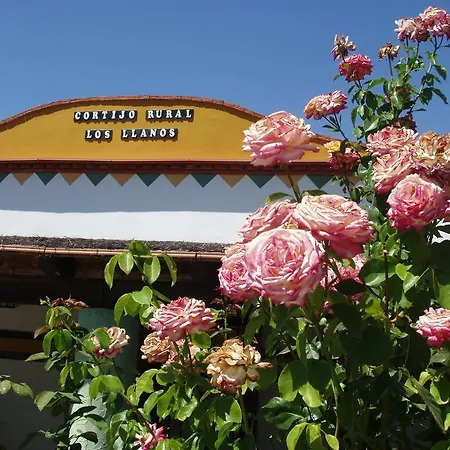 Apartahotel Cortijo Llanos