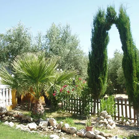 Cortijo Llanos *