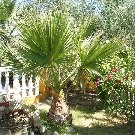 Cortijo Llanos