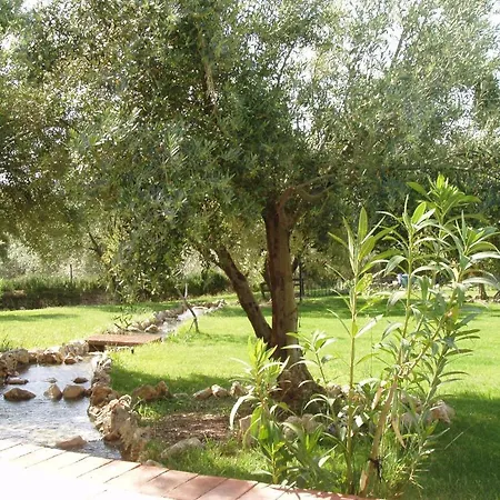 Cortijo Llanos *